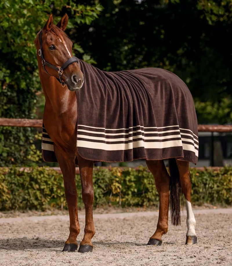 Dikke Fleece Zweetdeken Sölden - Bijna Uitverkocht! de Waldhausen en Espresso – photo produit