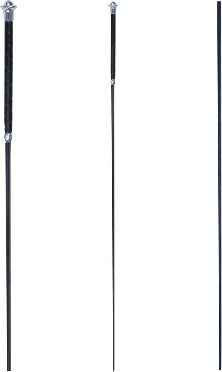 Dressuurzweep Classic - Rijbenodigdheden - 100 cm de Waldhausen en Noir – photo produit