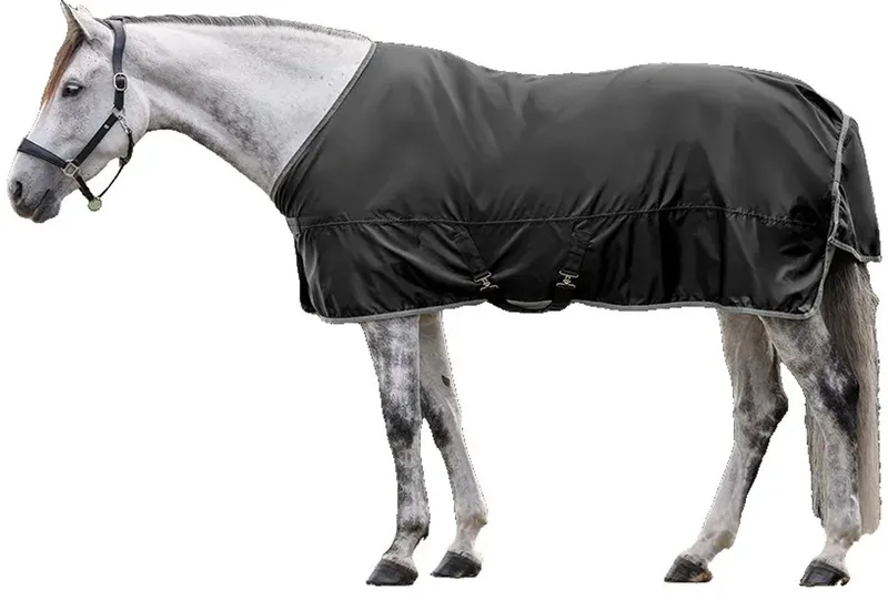 Economic Regendeken Voor Paarden Zwart 155 cm von Waldhausen in Schwarz – Produktfoto