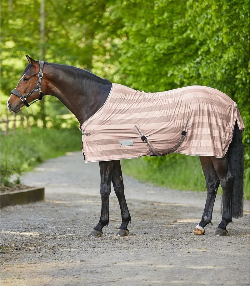 ECONOMIC vliegendeken met kruisband 135 by Waldhausen in Pink – product photo