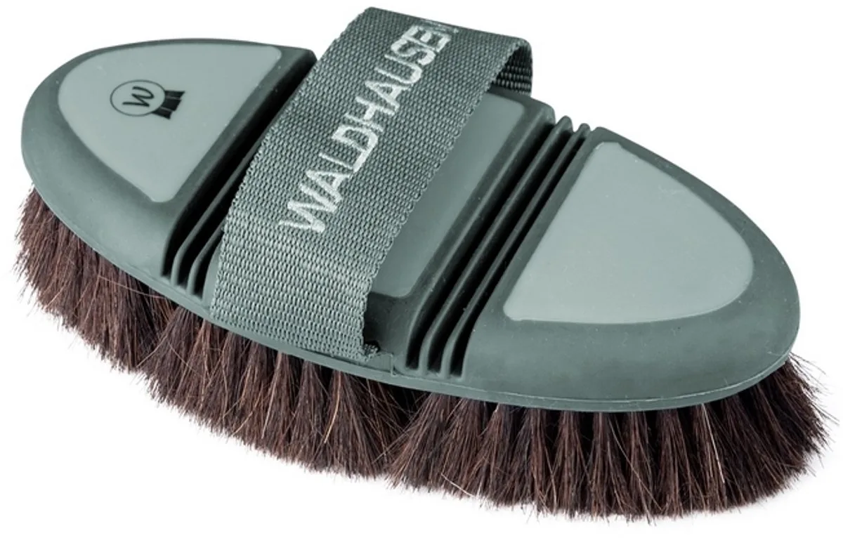 FLEX BODY BORSTEL HORSEHAIR van Waldhausen in Groen – productfoto