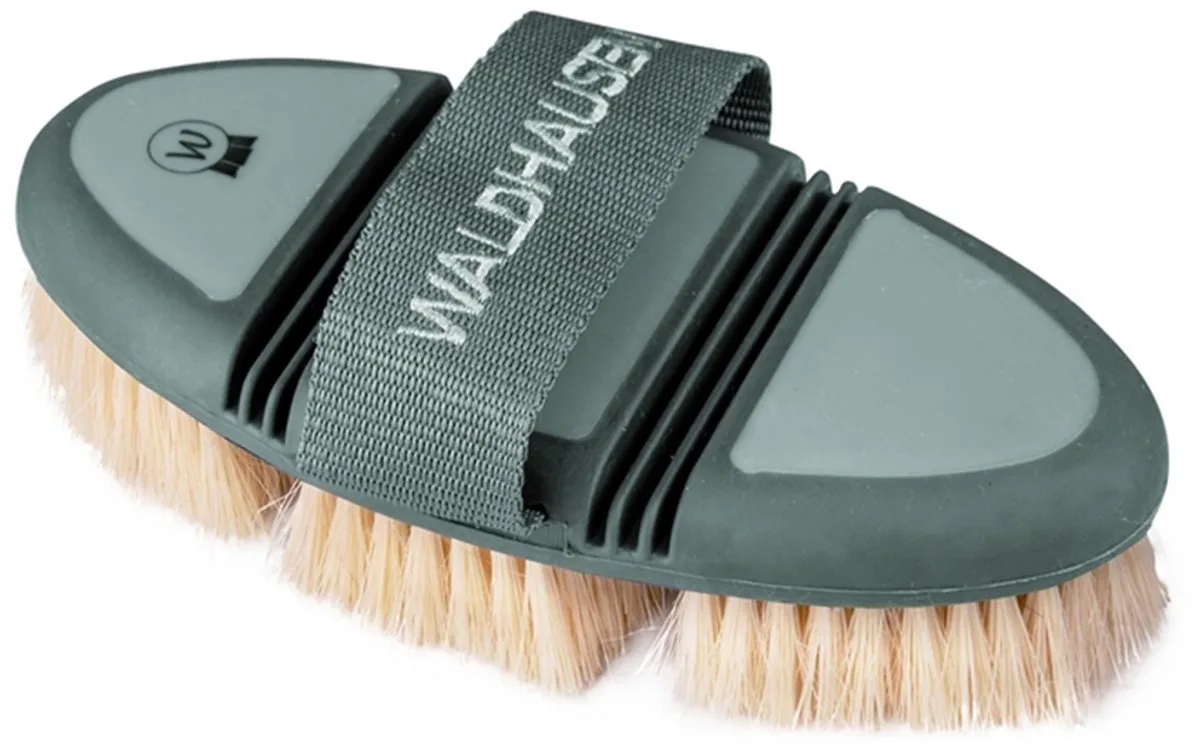 FLEX DANDY BORSTEL de Waldhausen en Vert – photo produit