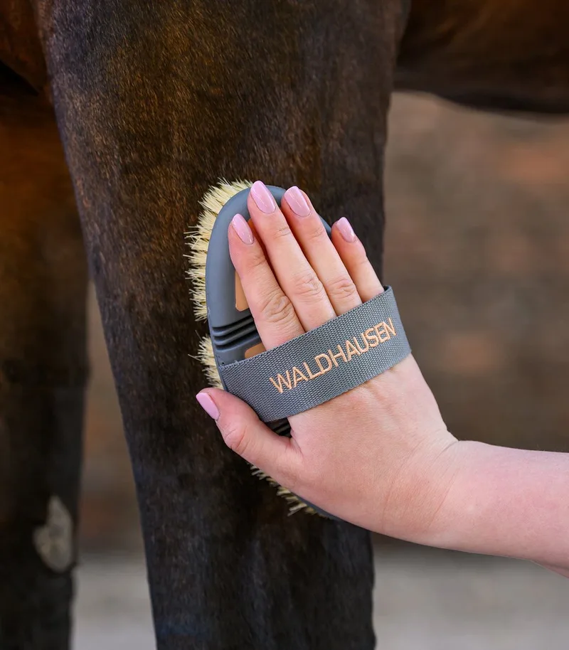 Flexibele Roskam - Bijna Uitverkocht! by Waldhausen in Peach – product photo