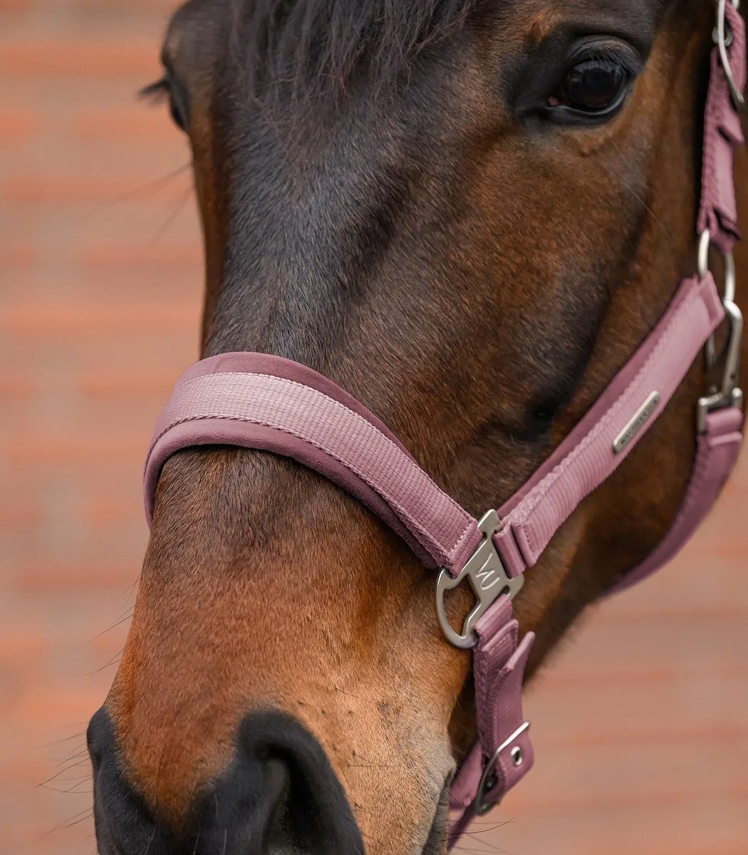 Fluwelen Halsterset - Bijna Uitverkocht! | Pony fra Waldhausen i Blå – produktbillede