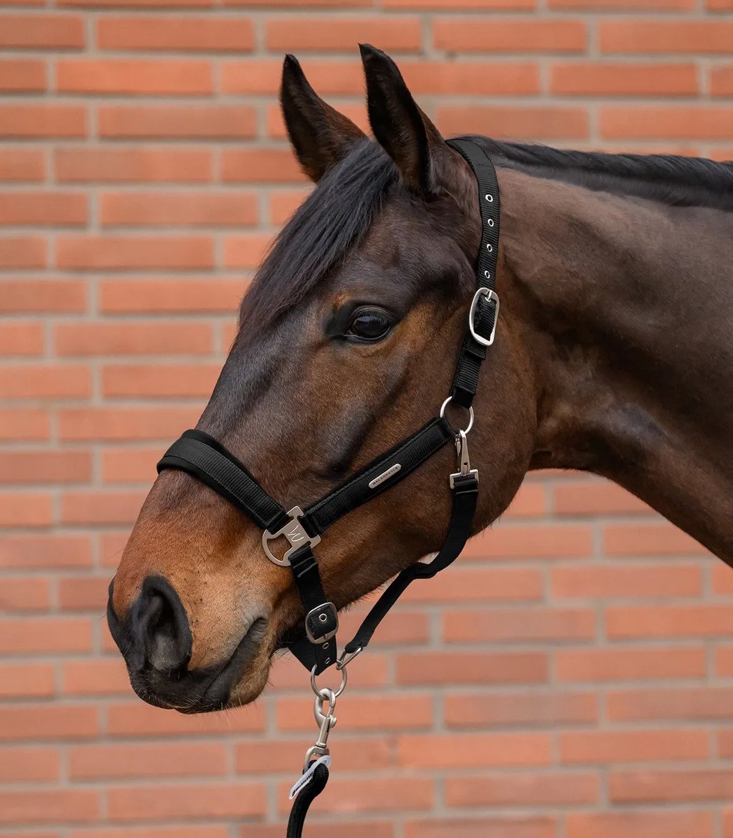 Fluwelen Halsterset - Bijna Uitverkocht! | Pony de Waldhausen en Rouge – photo produit