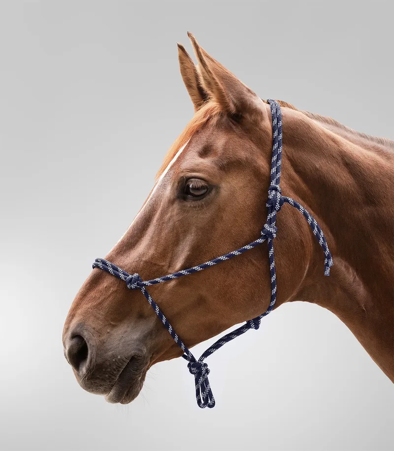 Geknoopt Halster - Bijna Uitverkocht! | Pony de Waldhausen en Night blue, Argent – photo produit
