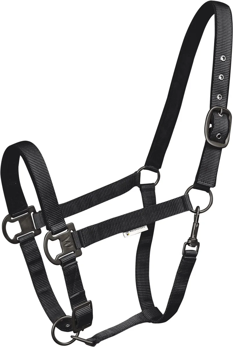 Gloomy Halster - Bijna Uitverkocht! | Pony by Waldhausen in Black – product photo