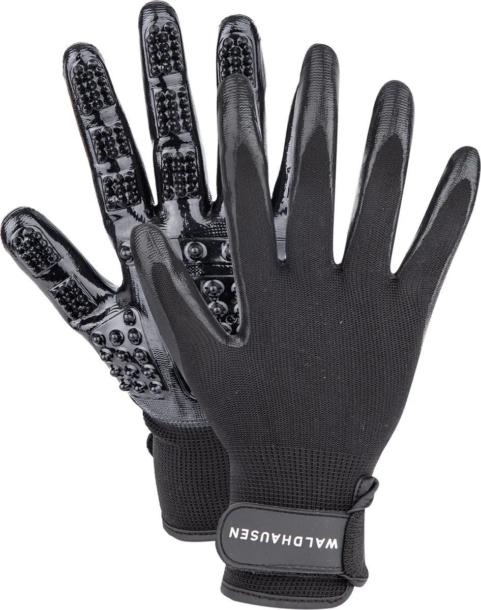 Grooming & Cleaning Glove van Waldhausen in Zwart – productfoto