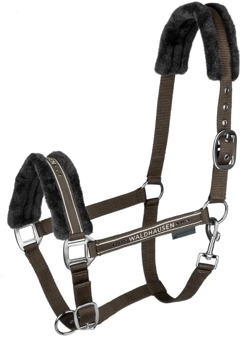 Halster Elegant - Paardenhalster - Groen Pony de Waldhausen en Bruin-groen – photo produit