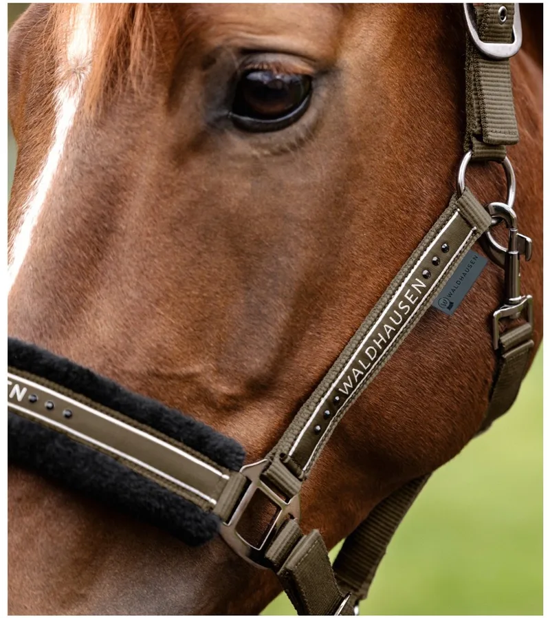 Halster Elegant - Paardenhalster - Groen Warmbloed de Waldhausen en Bruin-groen – photo produit