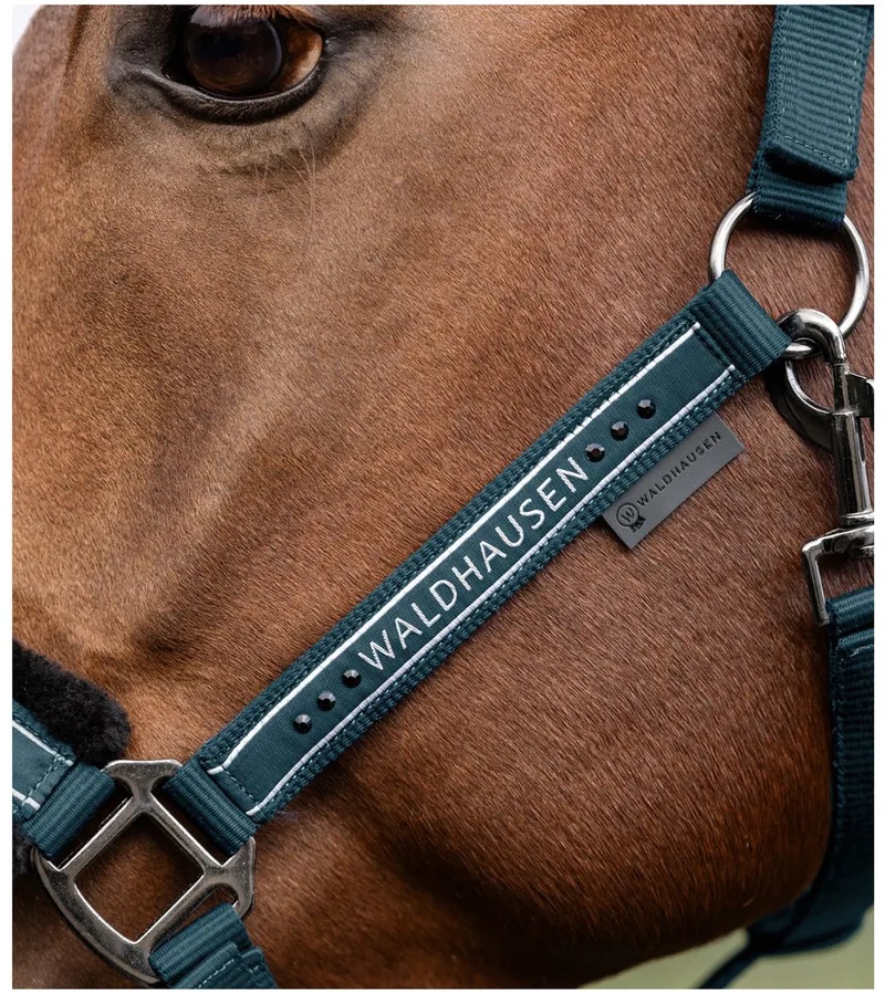 Halster Elegant - Paardenhalster - Petrol Warmbloed by Waldhausen – product photo