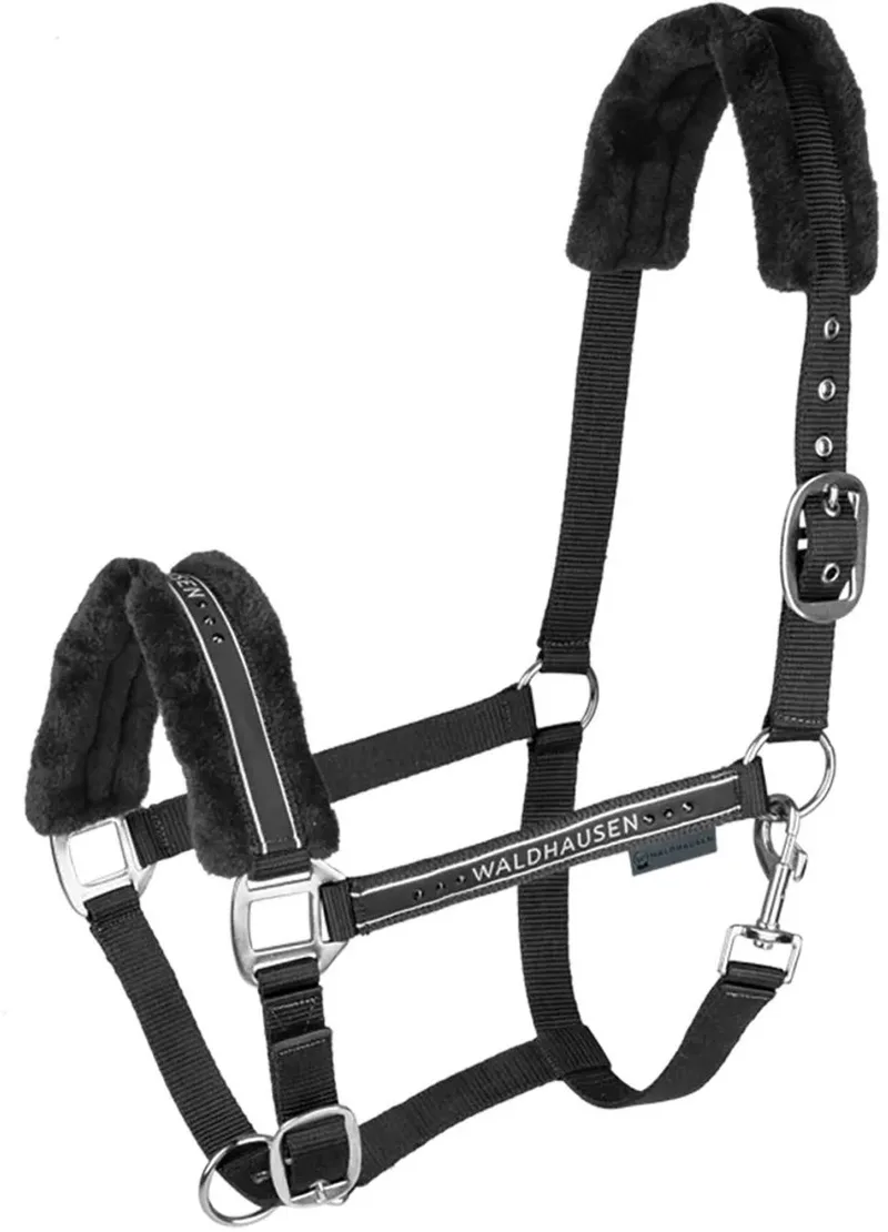 Halster Elegant - Paardenhalster - Zwart Volbloed von Waldhausen in Zwart-zwart – Produktfoto