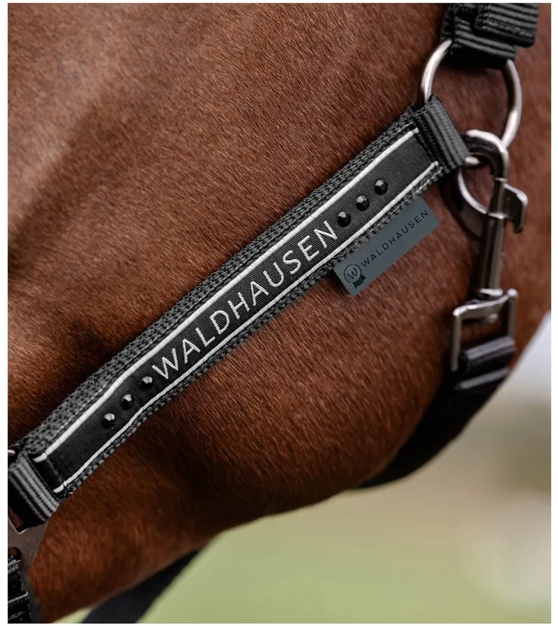 Halster Elegant - Paardenhalster - Zwart Warmbloed von Waldhausen in Zwart-zwart – Produktfoto