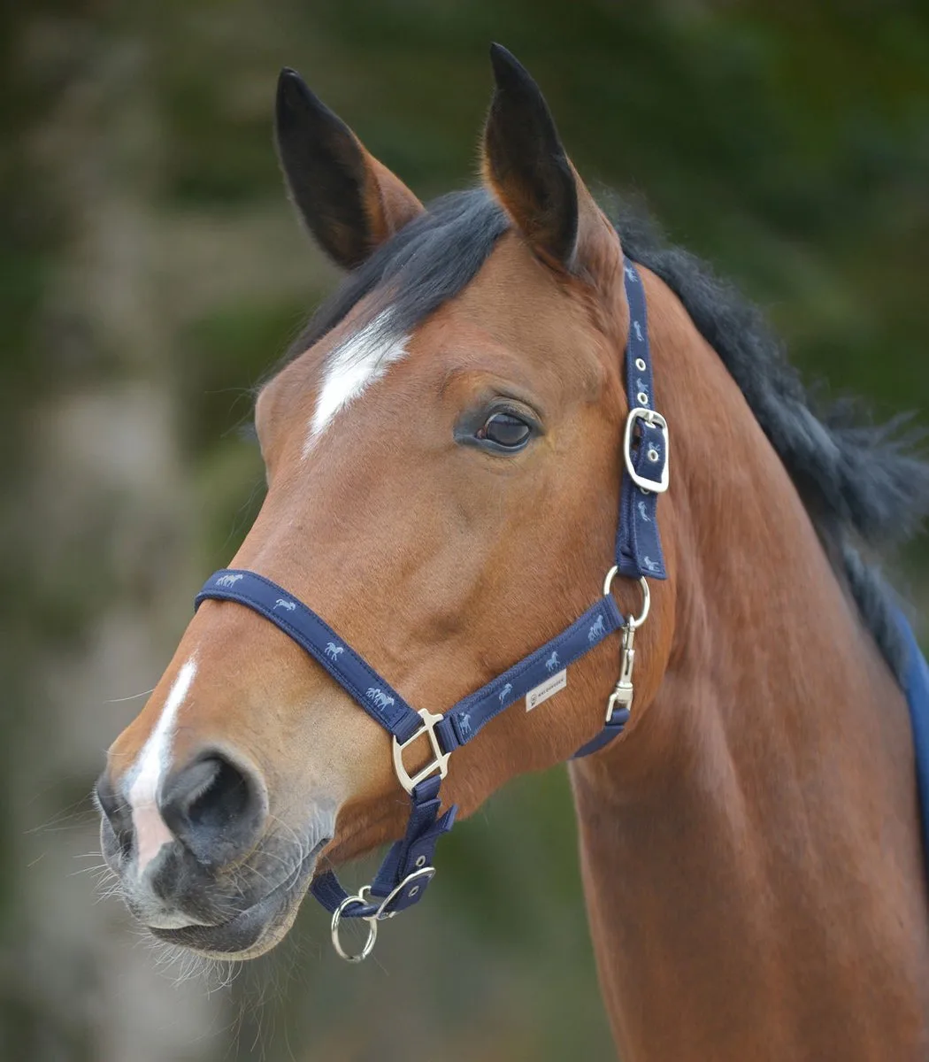 Halster Horsemotif | Full de Waldhausen en Bleu foncé – photo produit