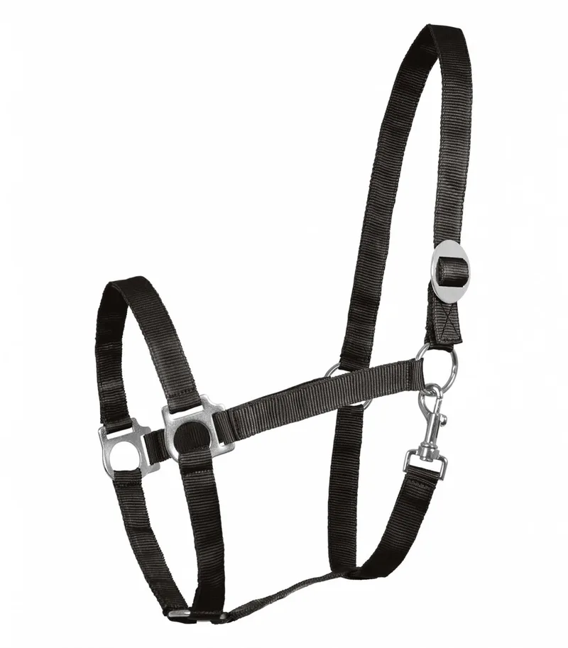Halster Perlon Full by Waldhausen in Black – product photo