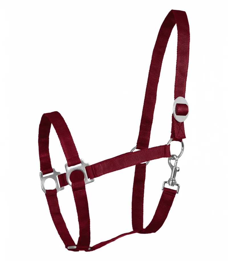 Halster Perlon - Pony de Waldhausen en Bordeaux – photo produit