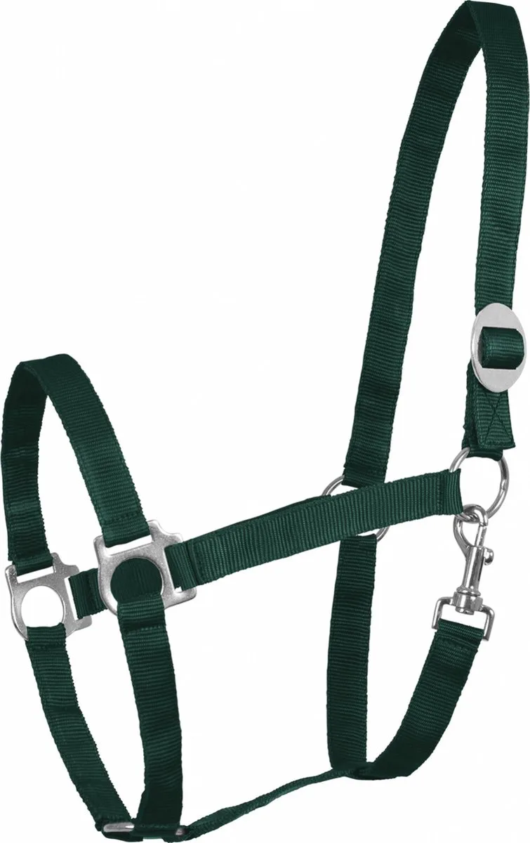 Halster Perlon Shet by Waldhausen in Green – product photo