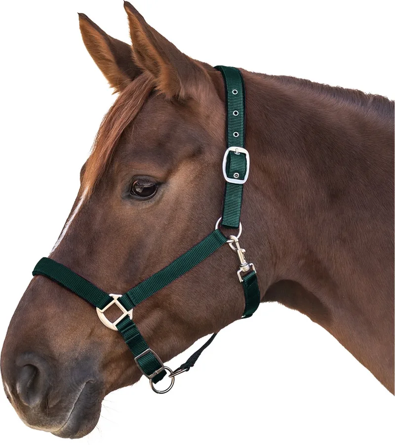 Halster Satin Donkergroen - Paardenhalster - Pony Satin de Waldhausen en Fir green – photo produit