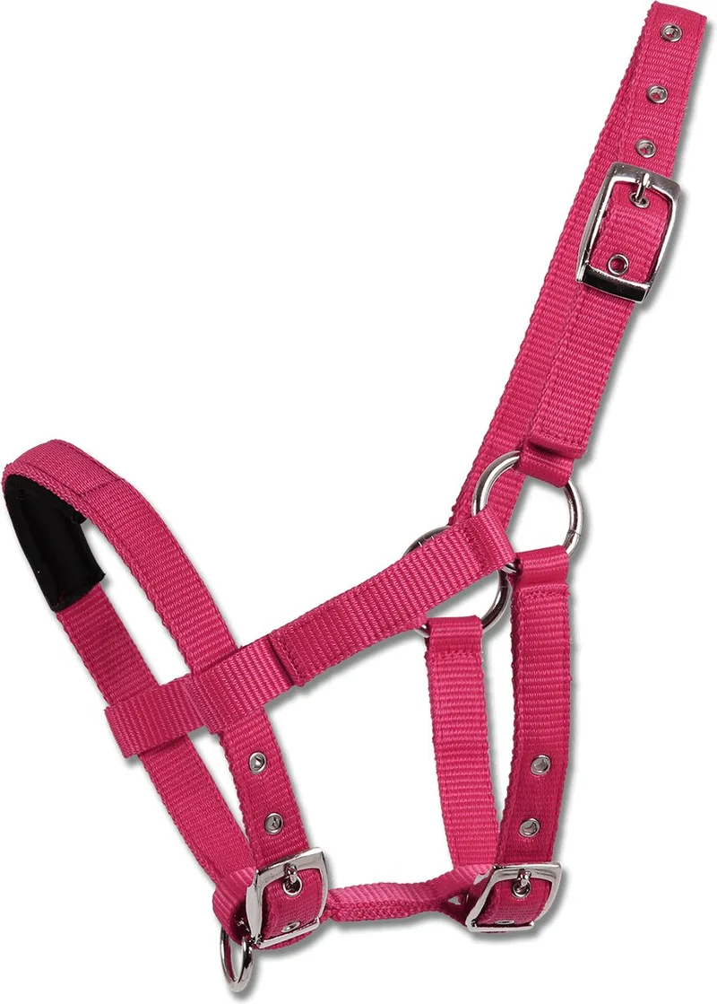 Halster Voor Mini Shetty by Waldhausen in Azalea – product photo