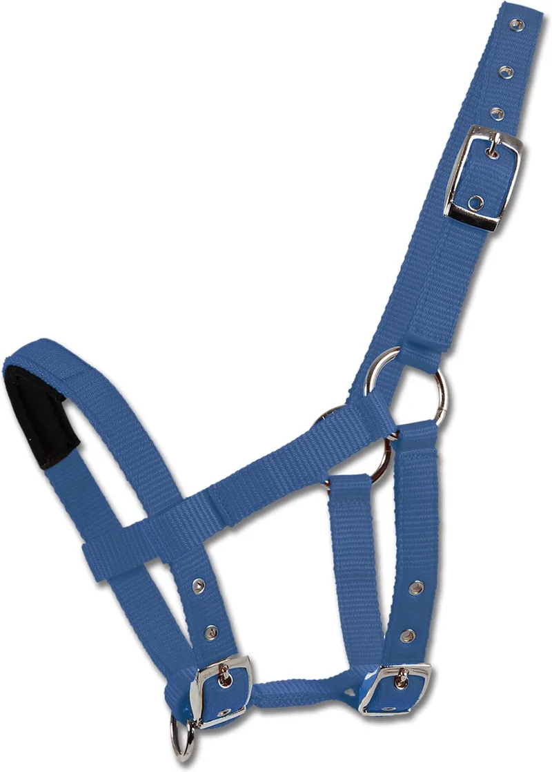 Halster Voor Mini Shetty by Waldhausen in Azure blue – product photo