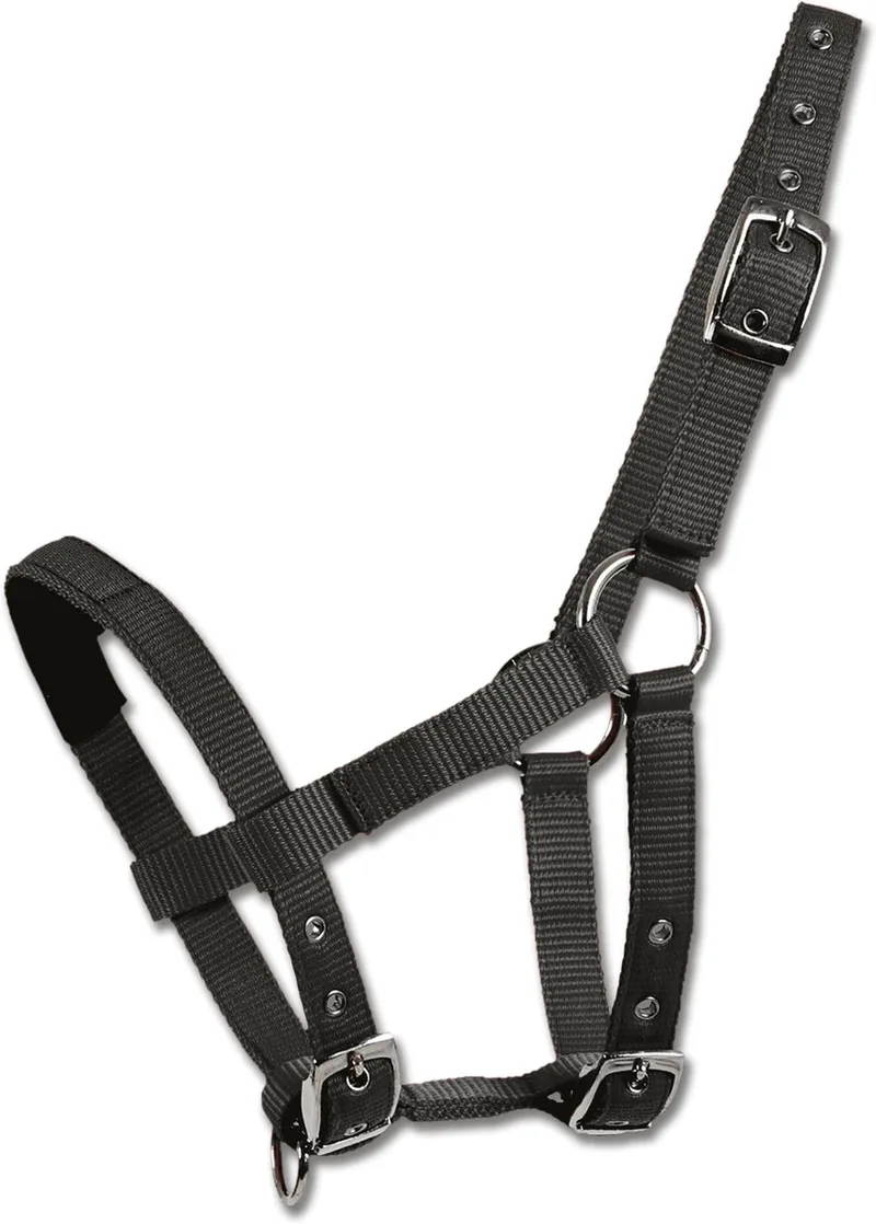 Halster Voor Mini Shetty - Bijna Uitverkocht! by Waldhausen in Black – product photo