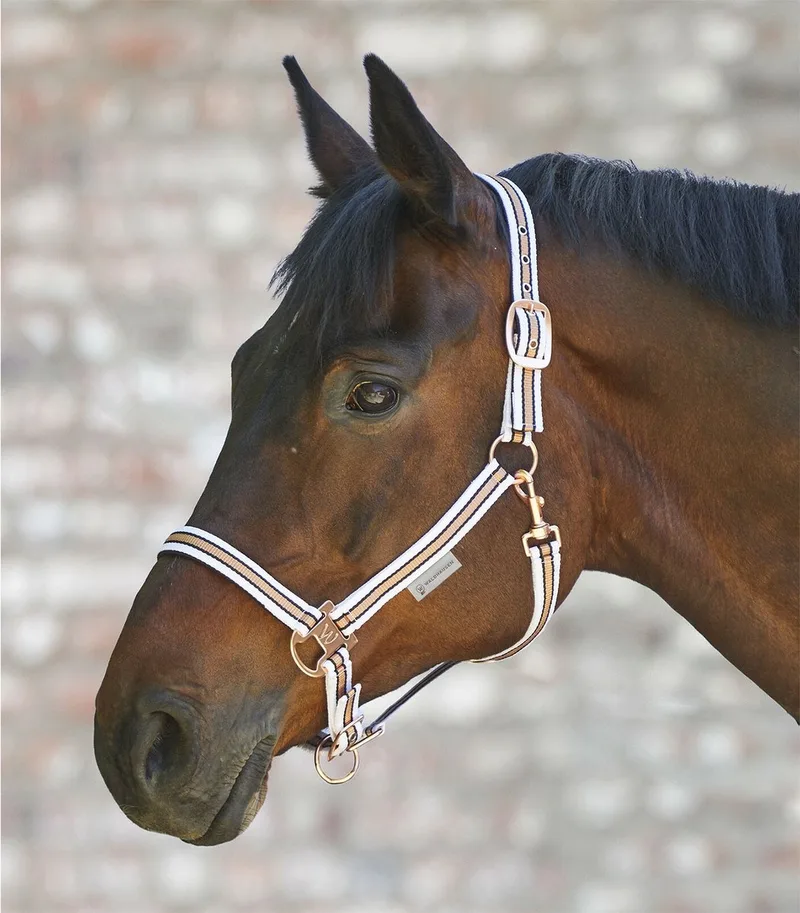 Halter glans Pony de Waldhausen en Rose-Goud – photo produit
