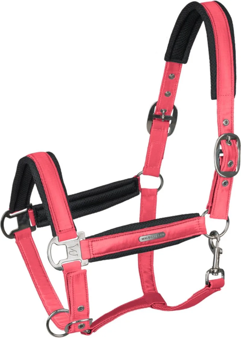Halter Mesh - Paardenhalster - Full by Waldhausen in Fuchsia – product photo