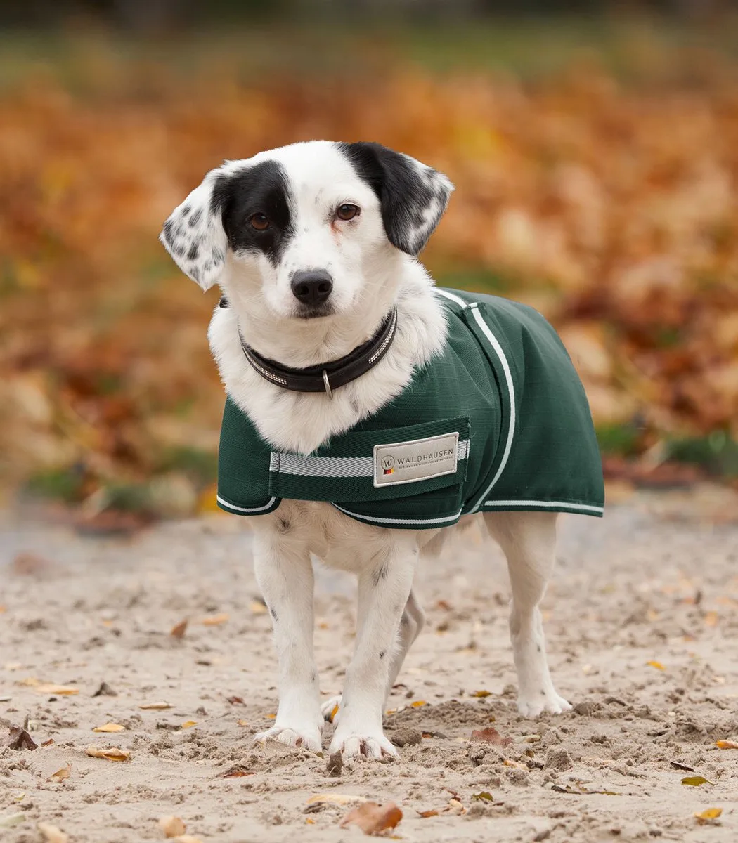 Hondenjas Comfort, 200 G - Bijna Uitverkocht! von Waldhausen in Fir green – Produktfoto