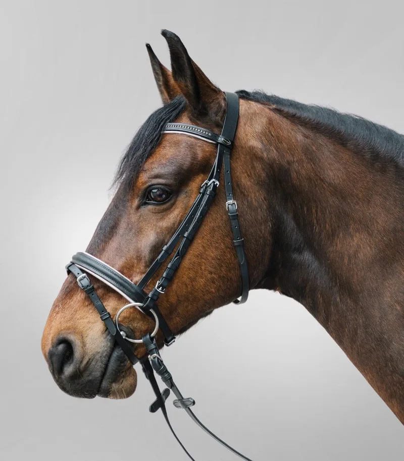 Hoofdstel Diamant - shetlander t/m paard von Waldhausen in Schwarz, Weiß – Produktfoto