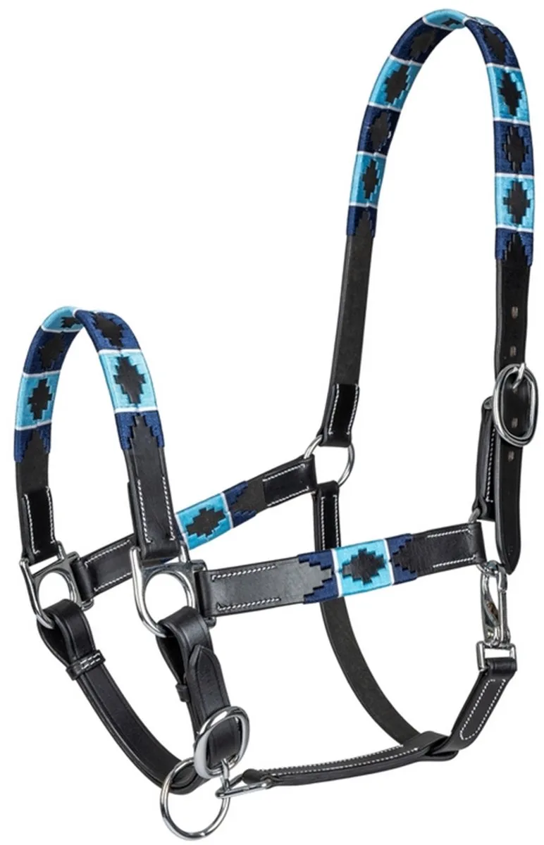 LEDERENHALSTER POLO van Waldhausen in Blauw – productfoto