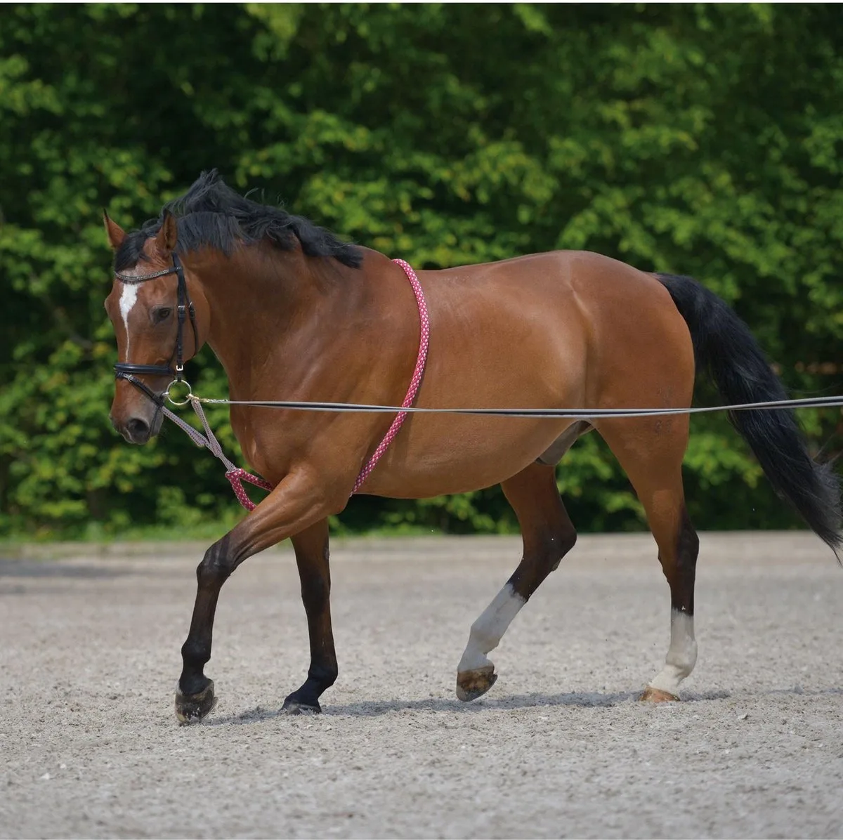 longeerhulp - grijs - mt Cob de Waldhausen en Rouge – photo produit