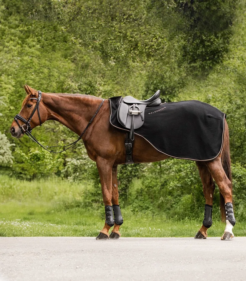 Modern Rosé Zweetdeken Paard Zwart Full by Waldhausen in Black, Rose Gold – product photo