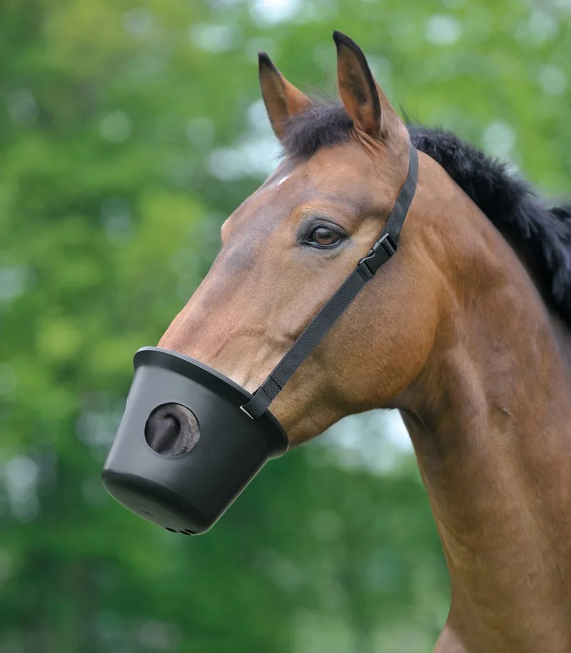 MUILKORF PONY by Waldhausen in Black – product photo