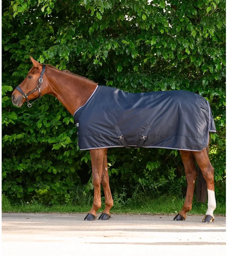 Outdoor paardendeken Waldhausen Economic 100g by Waldhausen in Nachtblauw – product photo