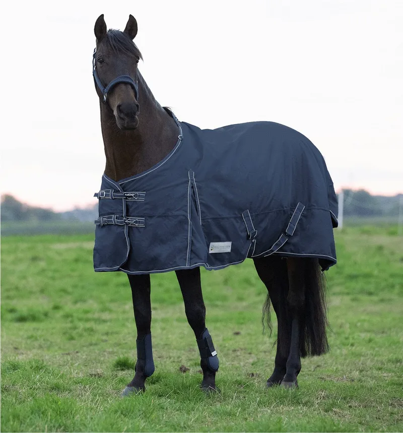 Outdoordeken Economic 200 Grams Blauw - Paardendekens - 175 200 Gram by Waldhausen in Night blue – product photo