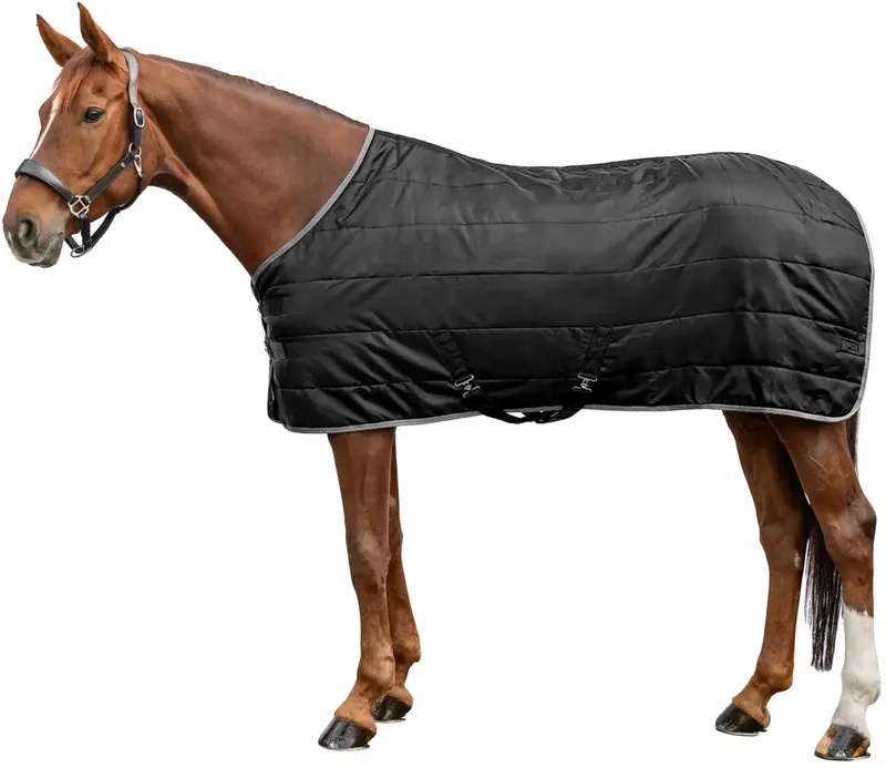 Paardendeken Waldhausen Economic 200g de Waldhausen en Noir – photo produit