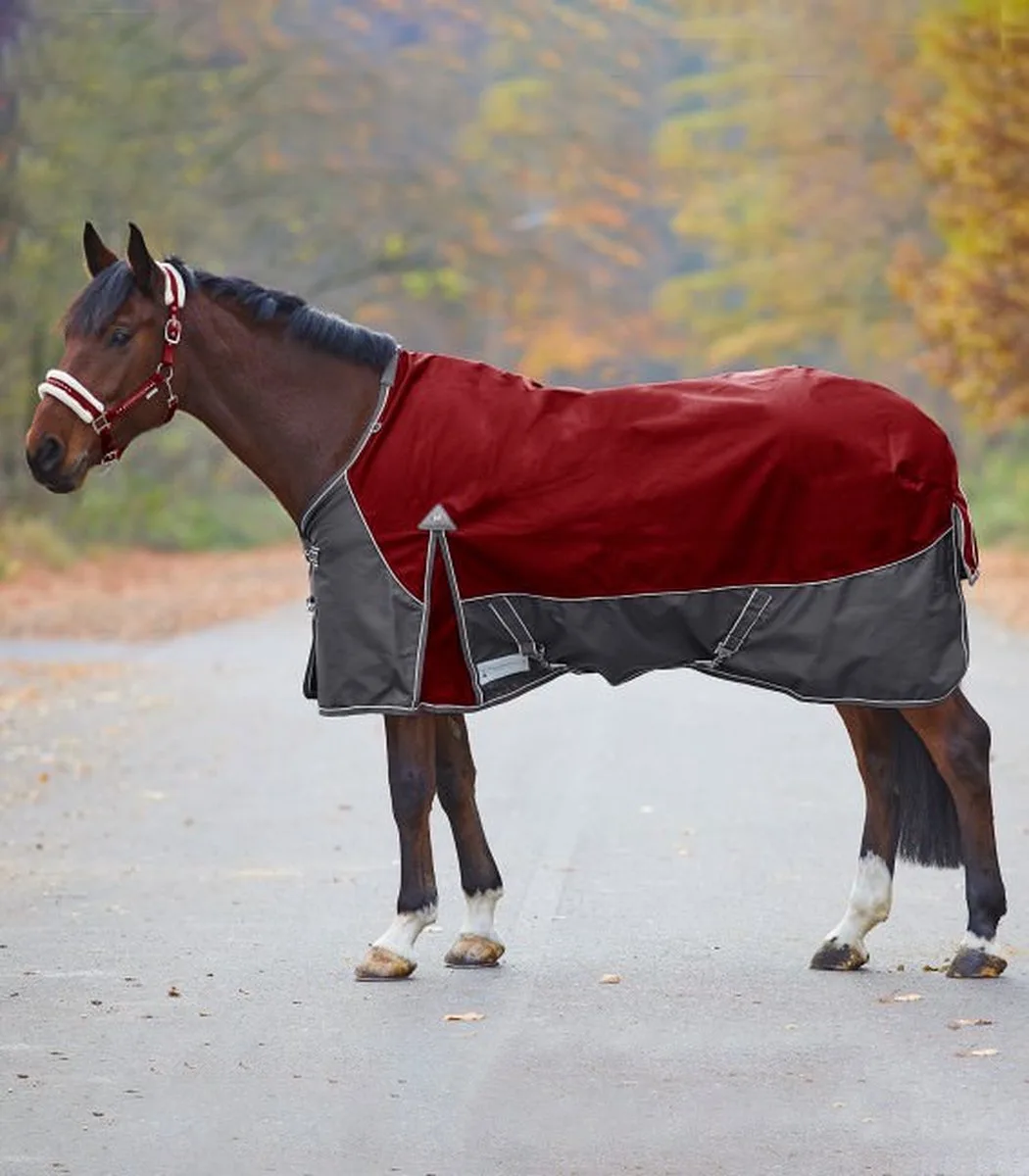 Pelham Bit Enkelgebroken - Bijna Uitverkocht! de Waldhausen en Gris – photo produit