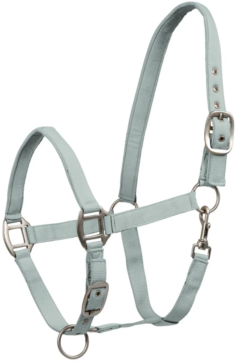 Perlon Halster Satin - Paardenhalster - Zilverblauw Warmbloed von Waldhausen in Zilver-blauw – Produktfoto