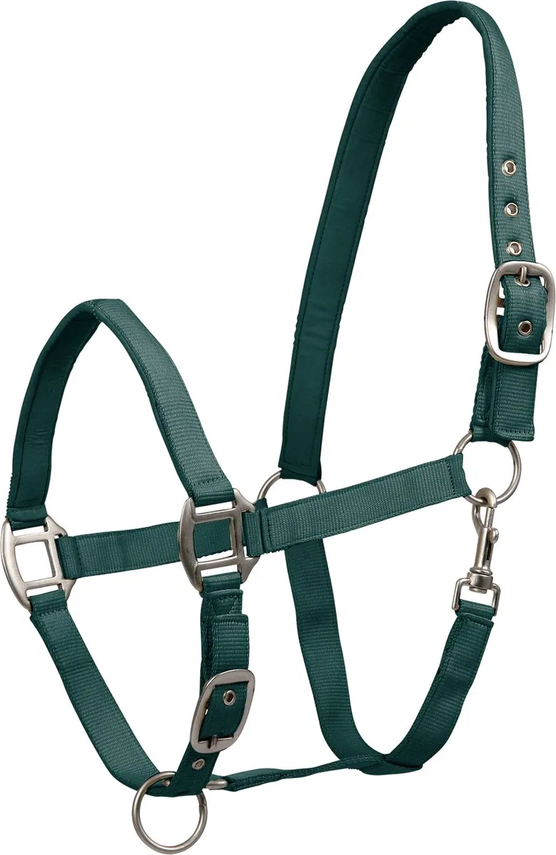 Perlon Satin Halster Beige Extra Full by Waldhausen in Fir Green – product photo