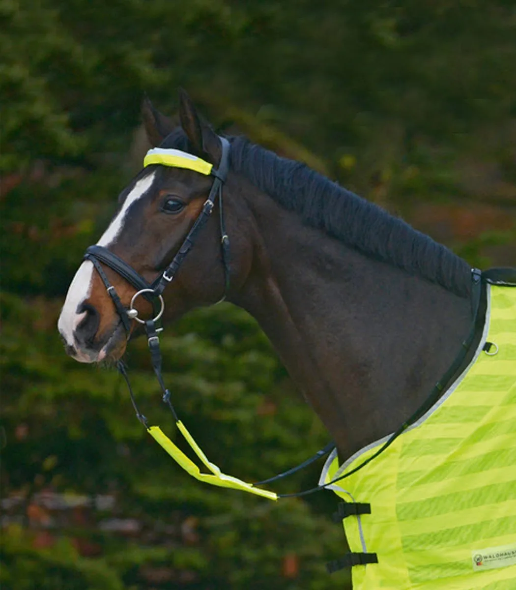 REFLEX hoofdstelset van Waldhausen in Neon yellow – productfoto