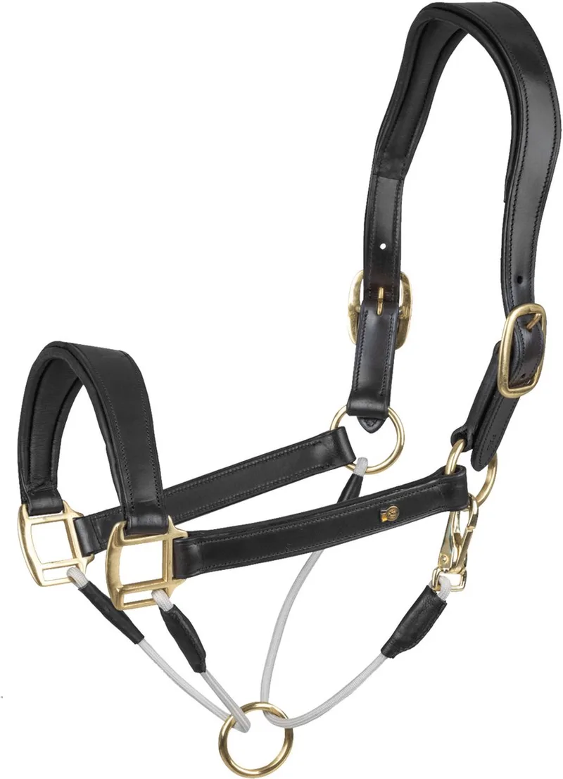 S-LINE LEDEREN HALSTER ROYAL by Waldhausen in Black – product photo