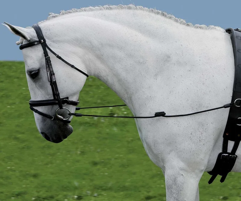 Side Reins Elastic by Waldhausen in Black – product photo
