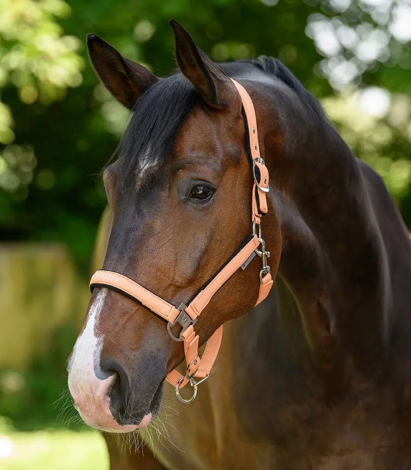Sportief Halster - Bijna Uitverkocht! | Pony by Waldhausen in Chrome grey – product photo