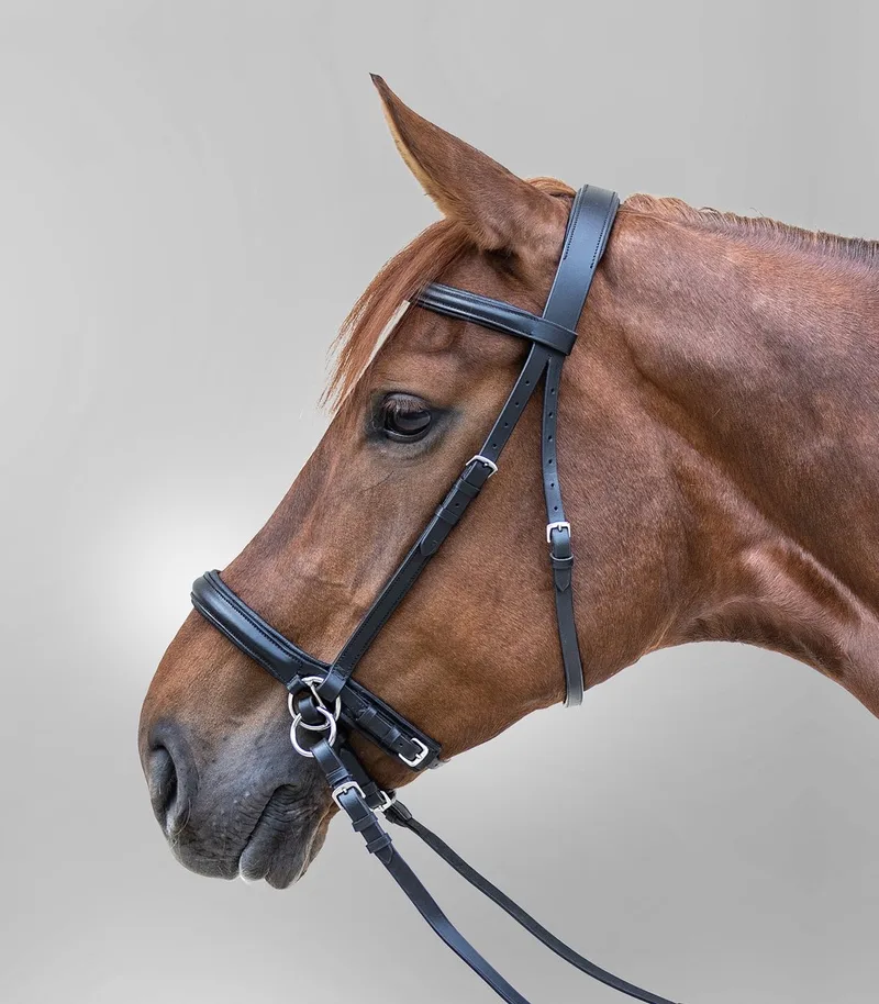 STAR BITLOOS HOOFDSTEL by Waldhausen in Black – product photo