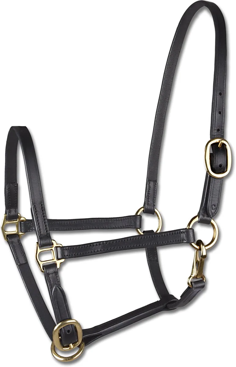 STAR Foal Show Halter, Leather | Mini Shetlander by Waldhausen in Black – product photo