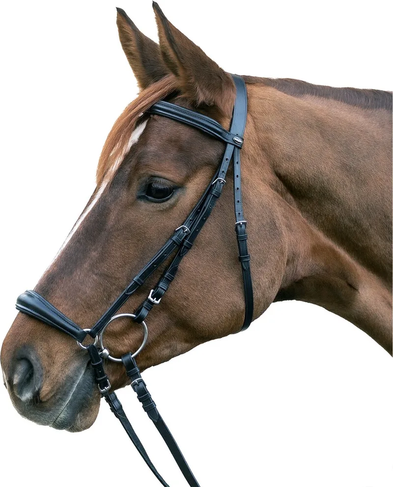 STAR hoofdstel Hannover Pony by Waldhausen in Black – product photo