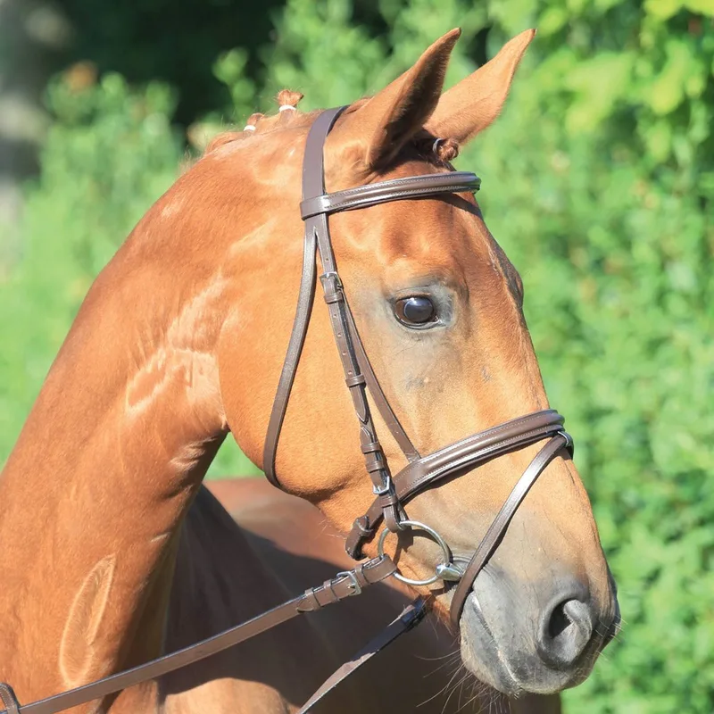 STAR hoofdstel lifestyle de Waldhausen en Marron – photo produit
