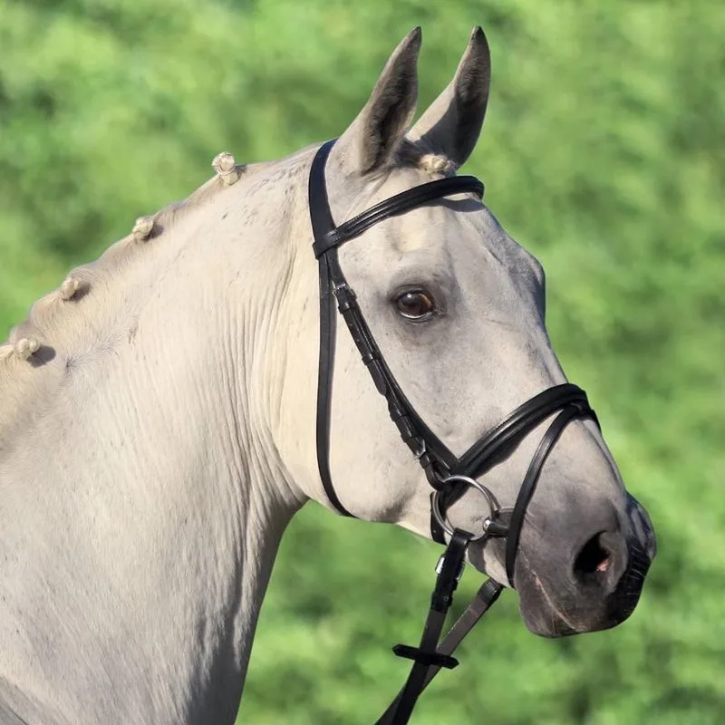 STAR hoofdstel lifestyle de Waldhausen en Noir – photo produit