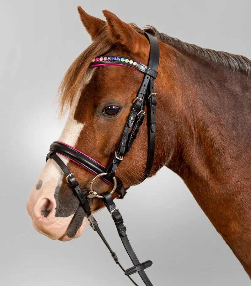 STAR HOOFDSTEL PINKY by Waldhausen in Black – product photo