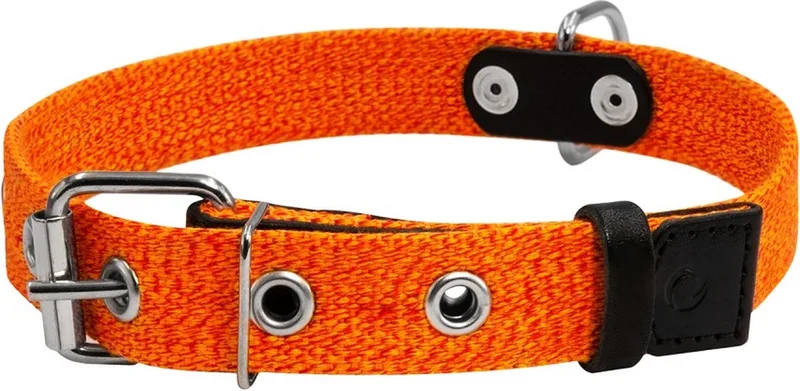 Canvas Halsband / Hondenhalsband - Katoen - M - Breedte: 2,5 cm - Nekomtrek: 41 - 53 cm (GELIEVE ALVORENS BESTELLEN OPMETEN) by Waudog in Oker gemêleerd – product photo